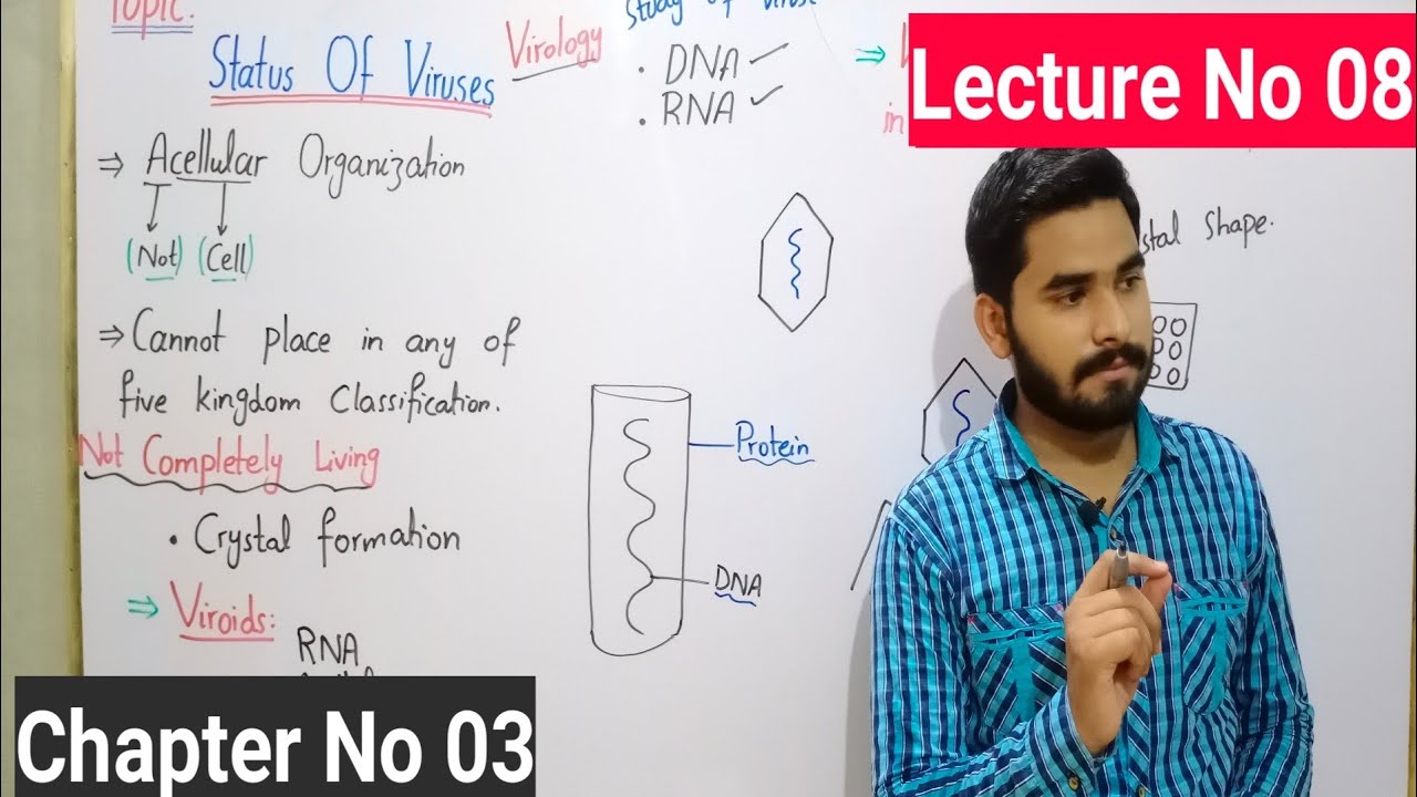 Status Of Viruses