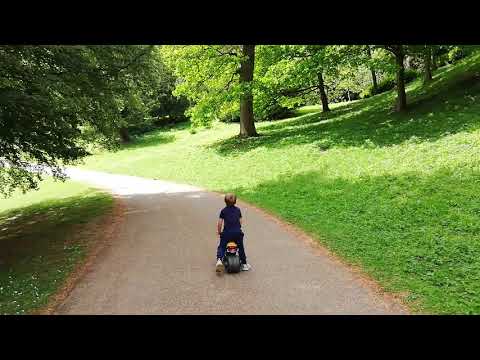 Fountains Abbey 27/5 /2019(6)