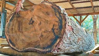 Sawing hard acacia wood logs is full of challenges at the sawmill