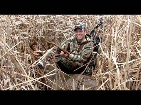 GIANT 165" Marsh Buck | Public Land WI | Behind the Bow