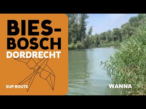 Sup opstapplaats route Biesbosch - Dordrecht - Zuid-Holland