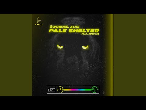 Pale Shelter (Radio Edit)