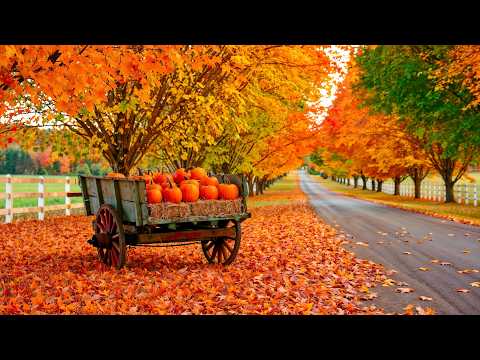 Relax Rhythms Music and Autumn Rhythm Music