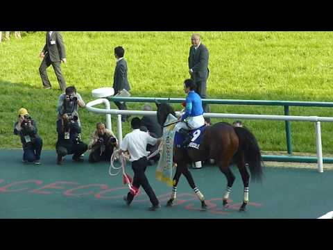 ファインニードルが優勝　春の短距離王【2018年　高松宮記念（ＧⅠ）】