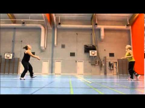 Lentopallon perusteet