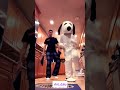 How Yall Feeling Today Charliebrown Ian Xxlfreshmanfreestyle Ytshorts Fypシ゚viral Dance Edit