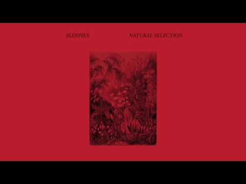 Sleepies - Natural Selection