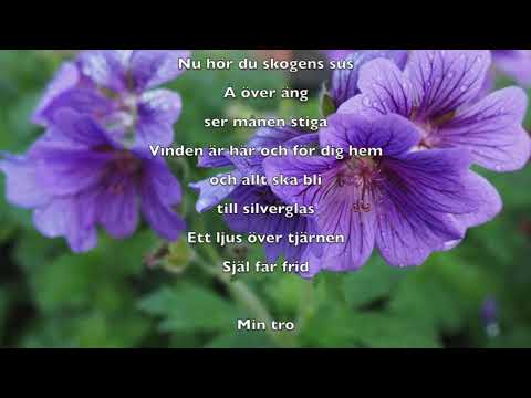 I skogens famn, svensk version av Annie Lennox "Into the west"