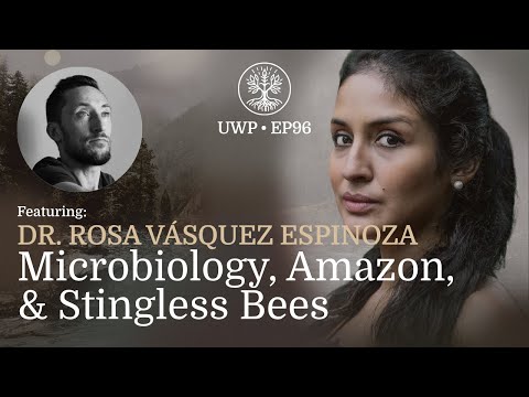 Universe Within Podcast Ep96 - Dr. Rosa Vásquez Espinoza - Microbiology, Amazon, & Stingless Bees