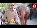Mithun HD New Blockbuster Full Hindi Bollywood Film Poonam Love Story Main Aur Mera Haathi