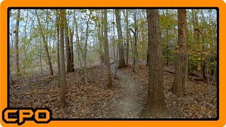 Gliding Through the Woods at Bacon Ridge in Crownsville, Maryland