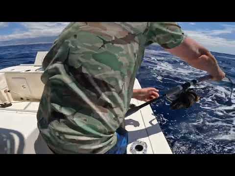 Spinning tackle gets destroyed in Tenerife. Giant Bluefin Tuna
