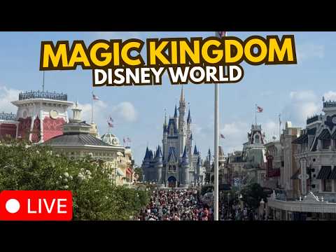 Live webcam of Disney Parks with Love
