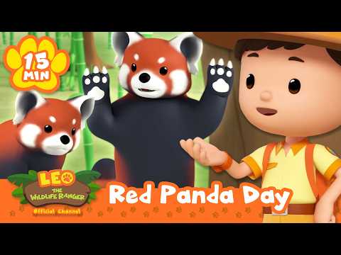 Celebrate International Red Panda Day with Leo the Wildlife Ranger! | Learning Animal Cartoons - Kids TV Series, Kingdom Kids Zone - Leo the Wildlife Ranger - Official Channel