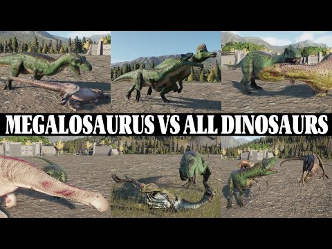 MEGALOSAURUS VS ALL DINOSAURS | JURASSIC WORLD EVOLUTION 2