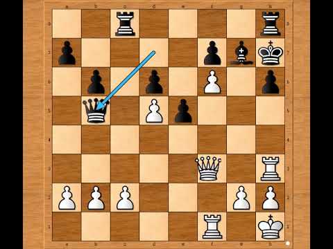Polako ali sigurno je stezan obruč oko protivničkog Kralja 🎯🎯🎯🎯 FISCHER vs KUPPER # 2496
