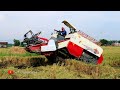 MESIN PANEN PADI MAXXI BIMO NDR 102L DI SAWAH BERTINGKAT