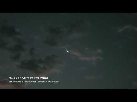 [1hour] My Neighbor Totoro OST - Path of the Wind (Piano cover)