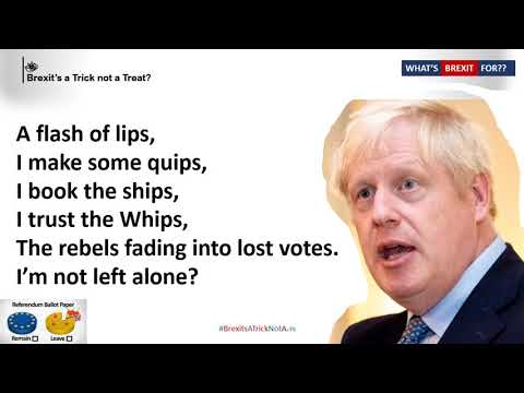 Any deal will do  - Brexit SINGALONG VIDEO