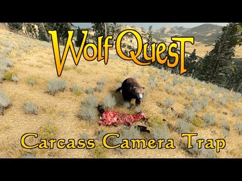 Carcass Camera Trap