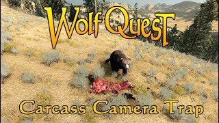 Carcass Camera Trap