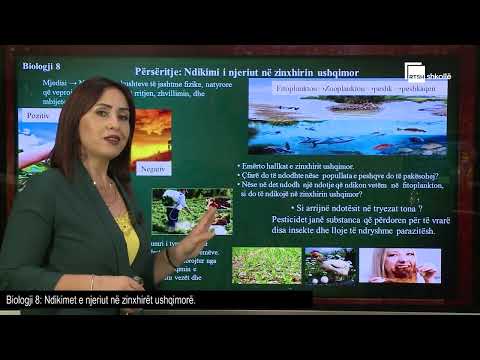 Ndikimet e njeriut në zinxhirët ushqimorë |  Biologji 8