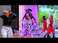 HAPA TIKTOK DANCE CHALLENGE Pricky Ninton Twinstars Africana The Cluster Ke