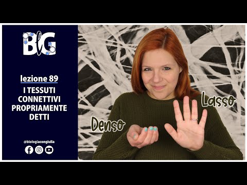 I TESSUTI CONNETTIVI PROPRIAMENTE DETTI