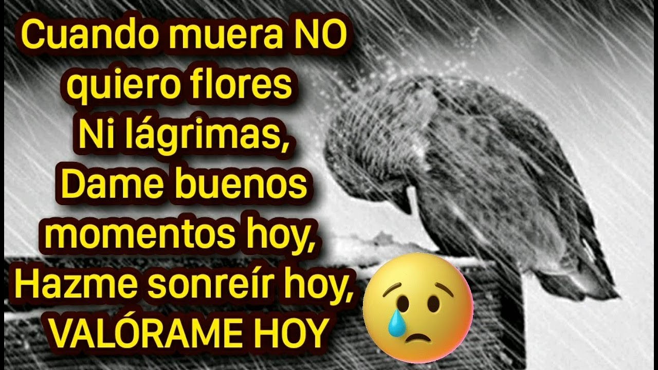 Cuando muera NO quiero flores NI lágrimas,Dame buenos momentos hoy,Valórame HOY.😞