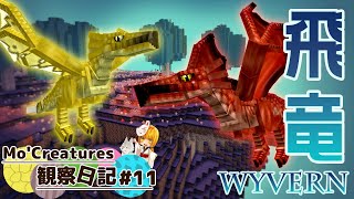 【Minecraft】Mo'Creatures観察日記 動物と仲良し生活 #11【ゆっくり実況】