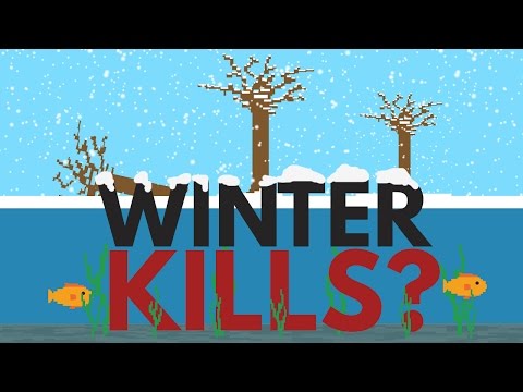 Why Doesn't Winter Kill All The Fish And Plants?