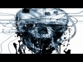 LIQUID STRANGER - BABYLON BEAST (LOCKSTEP ...