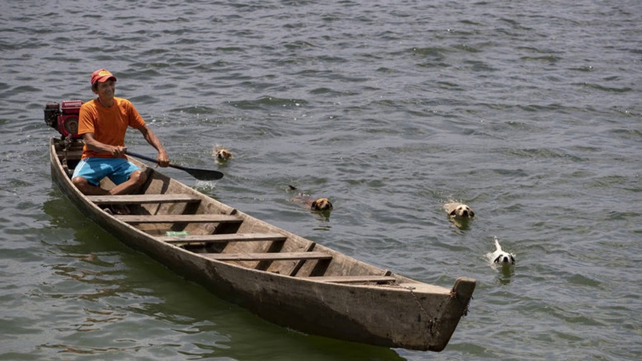 Brazil’s Amazon mega-dam: broken promises for distant power