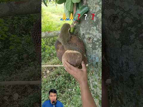 Con này rất dễ thương nha các bạn #animals #pets