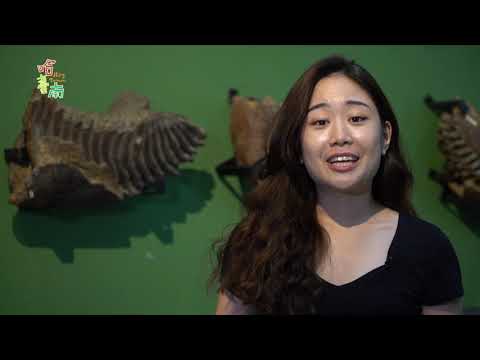 Hot Tainan EP7. A Trip to Zuojhen