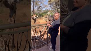 Giraffe Center, Nairobi Kenya