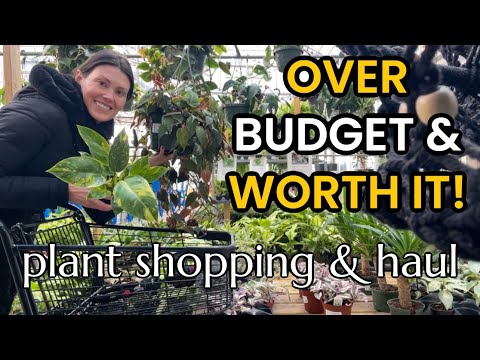 OVER Budget & WORTH IT Plant Shopping & Plant Haul at Horrock's Market - Indoor Plants - Michigan