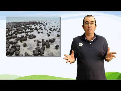 Vídeo: Historia da atmosfera da Terra