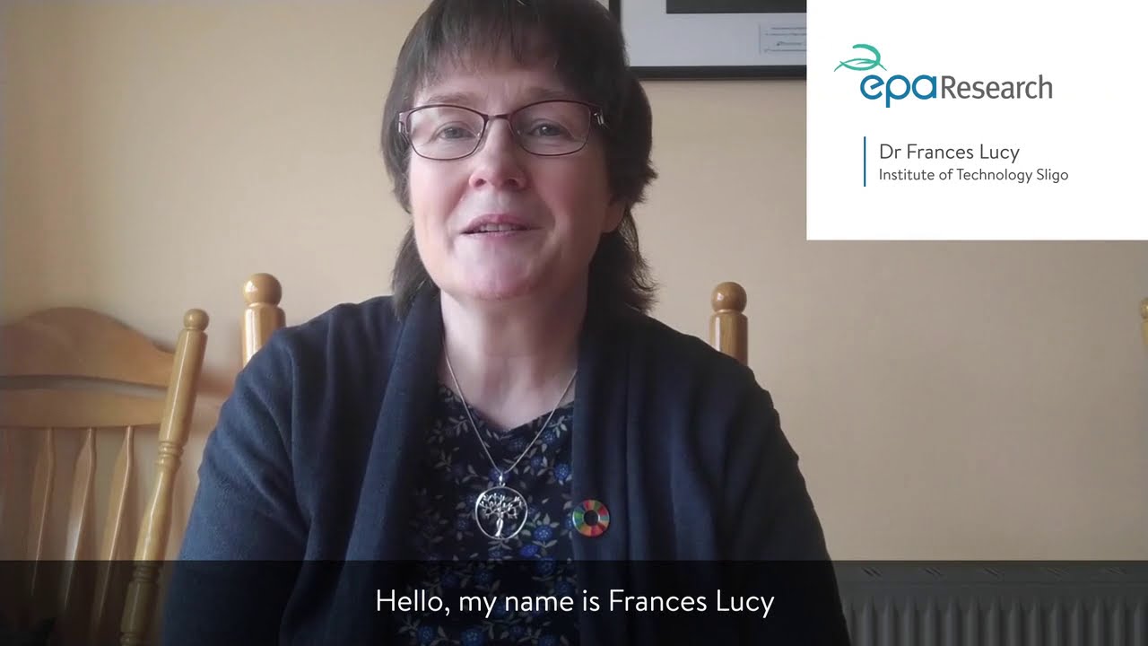 Research 368: Project Highlights