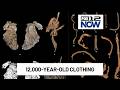 12 000 Year Old Clothing Found In Oregon Cave