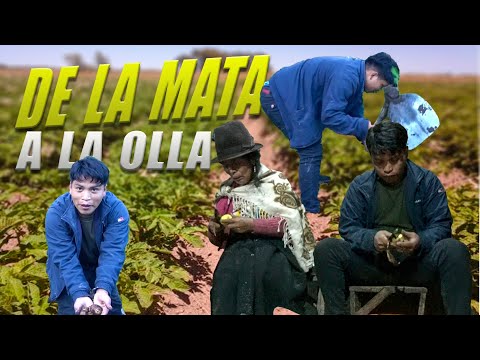 CAVANDO PAPAS CON MI MAMA|Washo Washito