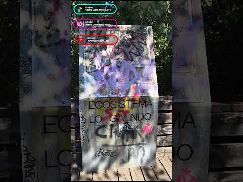 #parquelogalindo #bíobío #concepción #lugaresquesedeberiandeconocer #lugareslindos