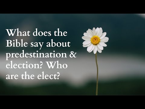 What Does the Bible Say About Predestination & Election?