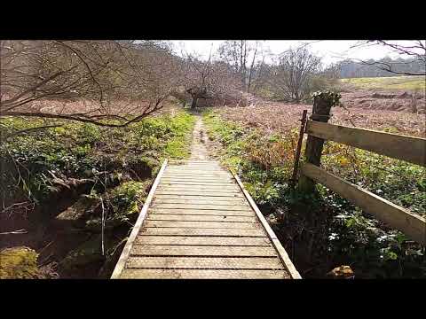 Virtual Walk - Apse Manor Road To America Wood - Shanklin, Isle Of Wight - March 2022 | kittikoko