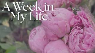 A Week in My Life ☕ | Budget-Friendly Cooking, Cozy Days & "Vintage" Finds At Winners