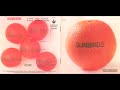 Sunbirds - Zagara (1973) FULL ALBUM