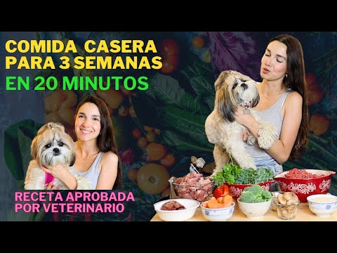 Comida para perros | FÁCIL, NATURAL Y ECONÓMICA | Es con Acento