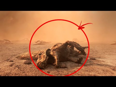 Hogyan tűntek el a Földről a fajok?