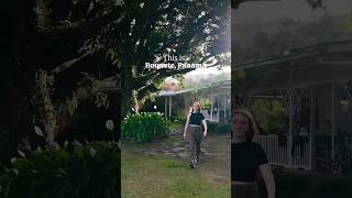 The most beautiful mountain town… Boquete, Panama #panama #mountains #travel #travelvlog