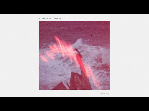 Video thumbnail for Fields